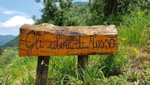 Gli Ulivi di Nesso - Foto 2