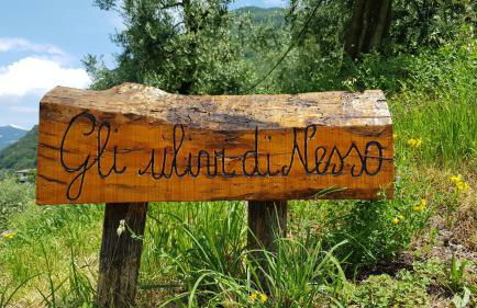 Gli Ulivi di Nesso - Foto 2