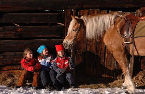 Residence Texel - Photo 17