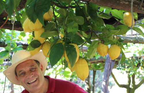 Casa Fasano Amalfi Coast - Foto 25