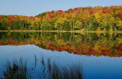 Lakewood Lodge - Foto 57