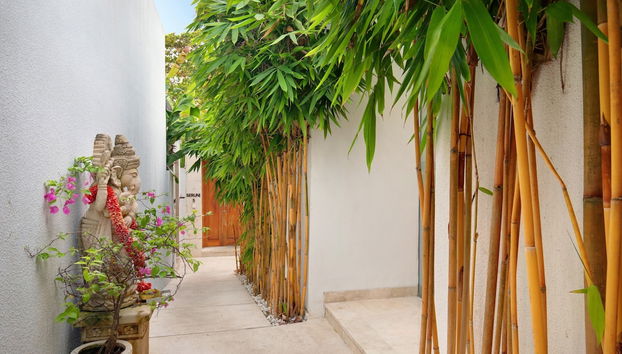 Entrada (vista interior)