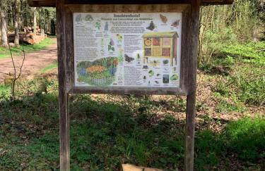 FeWo Sulzbachtal, Nähe Europa-Park, Rulantica, Schwarzwald, Feldberg - Foto 25