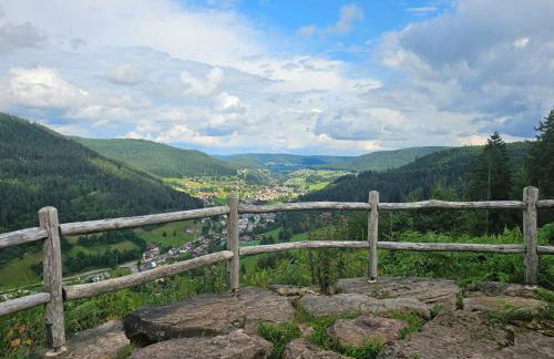 Ferienwohnung Hirschlein mit Schwarzwaldblick in Baiersbronn - Foto 23