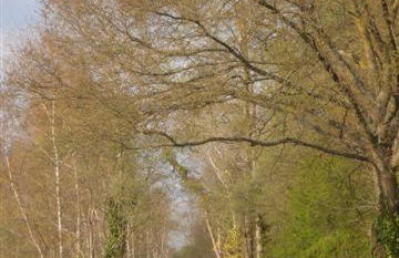 Gîte de la gare de Clefs - Photo 19