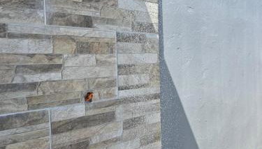 Casinha com área externa - Foto 5