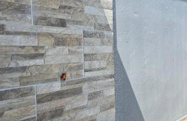 Casinha com área externa - Foto 5