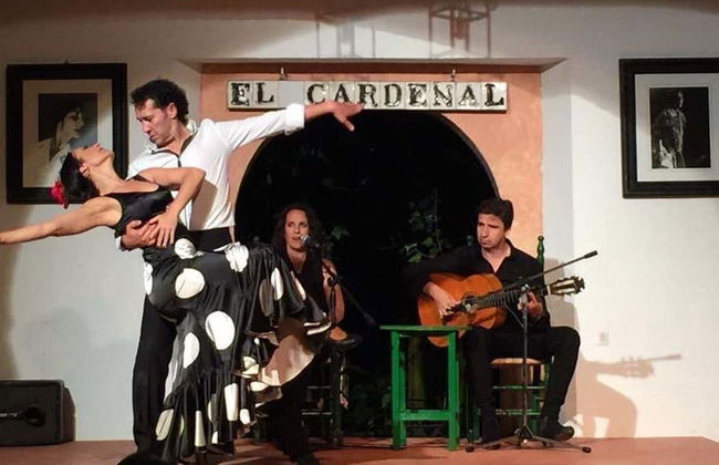 Espectáculo flamenco en el tablao El Cardenal - Foto 3