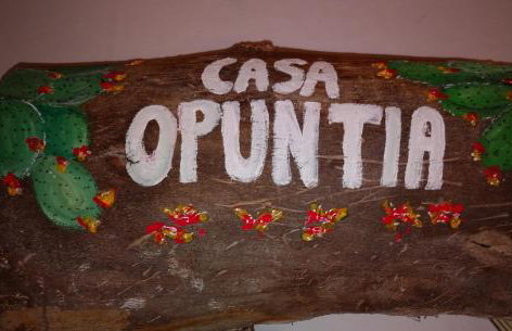 Casa Opuntia - Foto 6