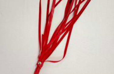 Luxueux Studio à Ambrières-les-Vallées - 85 m² avec Jacuzzi - Foto 20