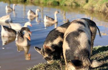 Eco-Domaine La Fontaine - RESIDENCE-SPA - 300 m Plage de la Fontaine aux Bretons - Foto 73