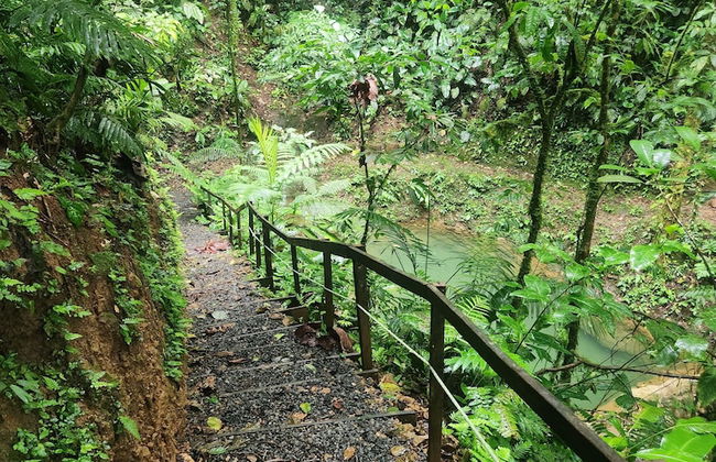Cabañas Caeli Rainforest Glass Cabin La Perezosa La Fortuna - Foto 37
