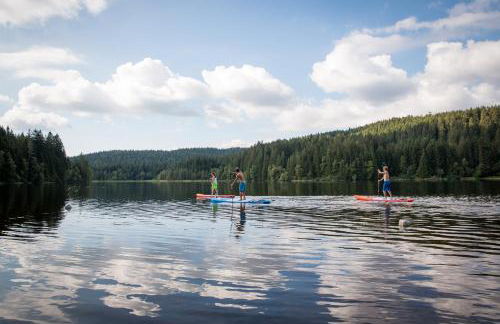 Ferienhaus Vogelsang - Foto 65