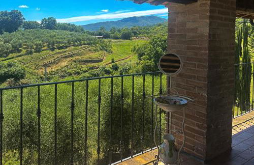 Collepetrucci - Foto 28