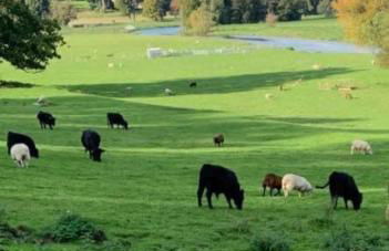 Goldings detached Barn farm stay - Foto 6