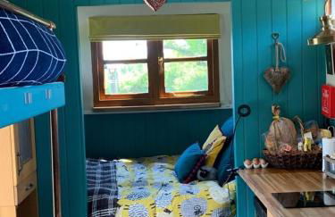 Shepherds Hut with Scandinavian Hot Tub and hydromassager - Foto 28