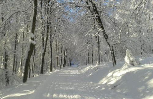 Wohnung in Silbecke mit Garten - Foto 54