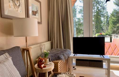 Studio Hase Saig - Photo 31