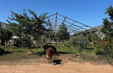 Logement atypique entre campagne et mer - Foto 11