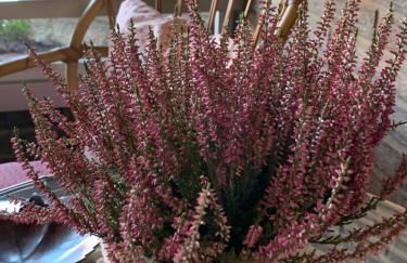 Precioso piso recién reformado en Zaragoza - Foto 53