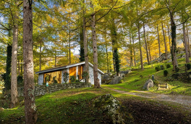 Cabañas Deluxe Basajaun Basoa by IrriSarri Land - Foto 7