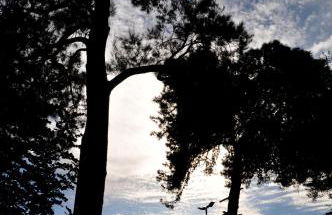 Palazzo Rosso - Foto 39