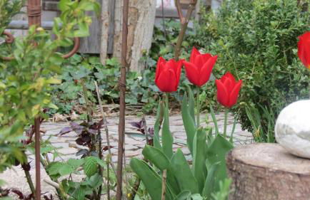 Landhaus Am Arzbach - Foto 29