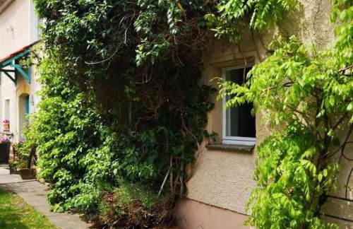 Apartment LandurlaubErzgebirge by Interhome - Foto 5