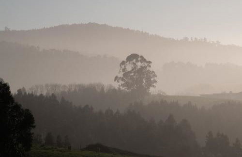 Apartamentos Garden Rock - Foto 12