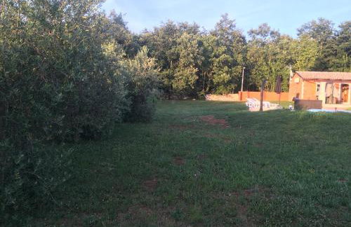 House in Nature - Foto 68