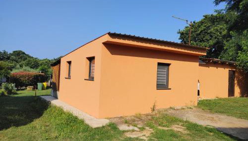 green garden - Photo 3