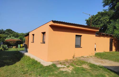 green garden - Photo 3