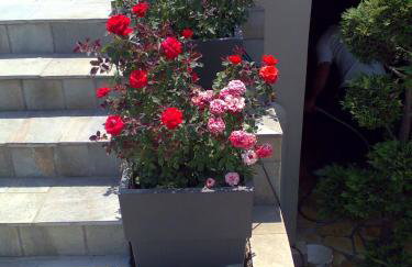 Villa Markos - Foto 48