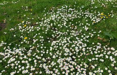 Napoleonsuite auf Schloß Hürbel - Foto 23