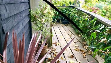 Studio Portland - Foto 2