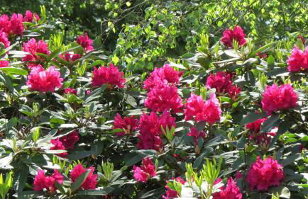 Birchcroft Hideaway - Photo 40