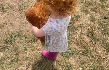 Ruby's Retreat! Farm Stay! North devon! Sleeps 6! Beaches Exmoor! - Foto 67