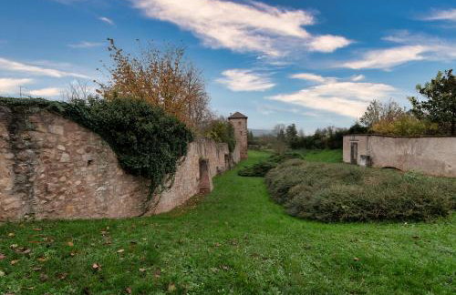 S'Hüsli - Maison vigneronne au coeur du vignoble - Foto 41