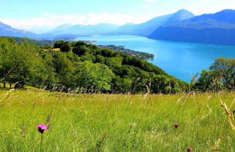 La Brison-T'Inn - Foto 32