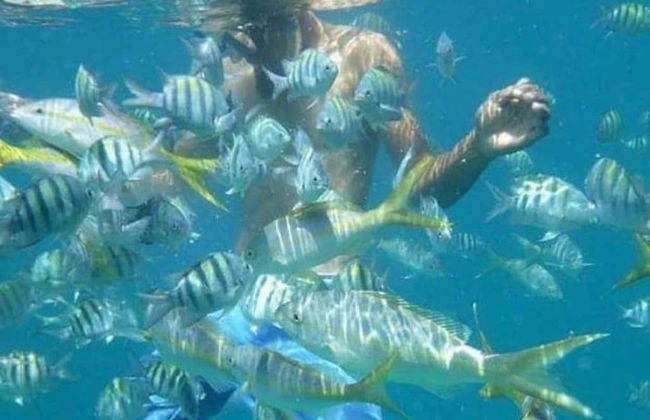 Puerto Plata & Monte Cristi Coast Cruise - Foto 7