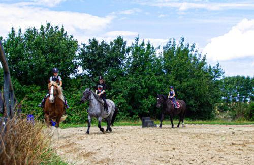 Staberhuk Baben - großer sonniger Balkon - XL Wohnung - Foto 28