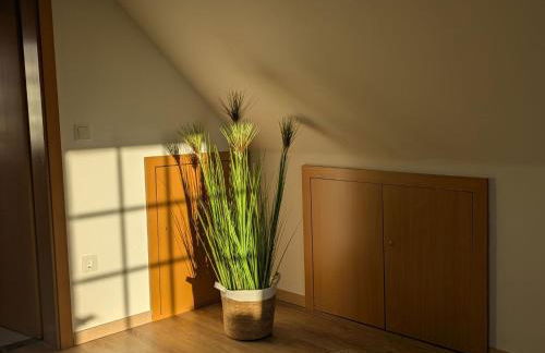 Apartment Lüttje Huus by Interhome - Foto 7