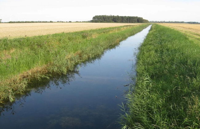 12 Person Holiday Home in Rodby - Foto 44