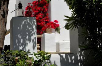 Exquisite estate, serene environment - Photo 23