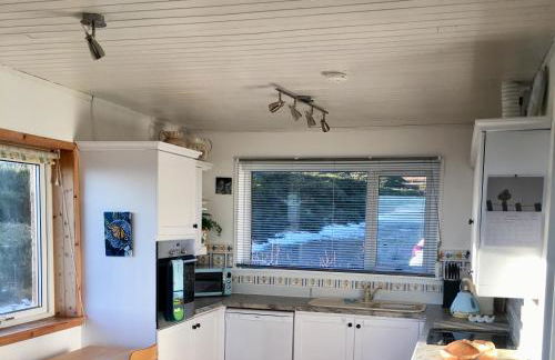 The Stroops - Foto 12