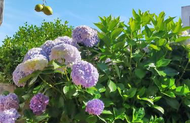 Cerca de la playa, con bodega, terraza y jardin Camino Portugués - Foto 21