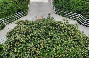 Jacqueline - Foto 38