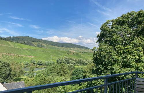 Burgblick Pünderich - Foto 40