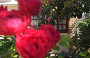 Villa Apart Hotel - Photo 25