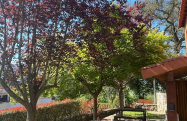 Quinta Encosta do Penedo - Wellness Retreat - Gerês - Foto 27